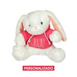 Coelho Pelúcia com Blusa Moletom Capuz Personalizado - Rosa - 25cm - 01 unidade - Cromus Páscoa - Rizzo