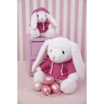 Coelho Pelúcia com Blusa Moletom Capuz - Rosa - 25cm - 01 unidade - Cromus Páscoa - Rizzo Embalagens