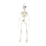 Enfeite Decorativo Halloween - Esqueleto Caveira - 48cm - 01 unidade - Cromus - Rizzo Embalagens