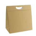 Caixa New Plus 23x8,5x30cm M - Glam Gold - 10 Un
