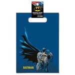 Sacola Kids 22x31cm Batman - 40 Un