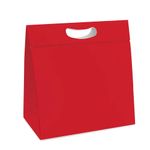 Caixa New Plus 18x7,5x24cm P - Charming Red - 10 Un