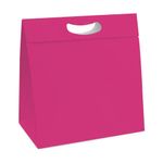 Caixa New Plus 18x7,5x24cm P - Pink Core - 10 Un