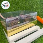 Caixa Ovo de Colher Duplo - Meio Ovo de 100g a 150g - 20cm x 13cm x 8,8cm - Ouro - 5unidades - Assk - Páscoa Magazine 25