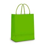 Sacola de Papel G Verde - 32x26,5x13cm - 10 unidades - Cromus - Magazine 25