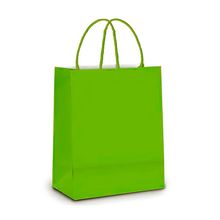 Sacola de Papel G Verde - 32x26,5x13cm - 10 unidades - Cromus - Magazine 25