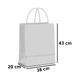 Sacola Papel Kraft EXG - 43x38x20 - 14001271 - 10 unidades - Cromus - Magazine 25