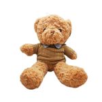 Urso de Pelúcia com Suéter Bege - 37cm - 1 unidade - Magazine 25
