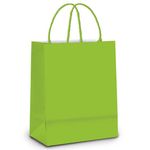 Sacola de Papel M Verde - 26x19,5x9,5cm - 10 unidades - Cromus - Magazine 25