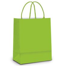 Sacola de Papel M Verde - 26x19,5x9,5cm - 10 unidades - Cromus - Magazine 25