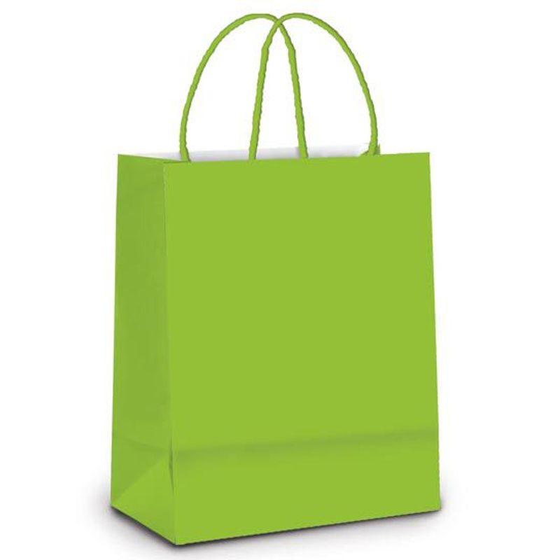 Sacola de Papel M Verde - 26x19,5x9,5cm - 10 unidades - Cromus - Magazine 25