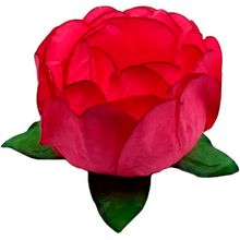 Forminha para Doces Finos - Bela Salmão - 30 unidades - Decora Doces - Magazine 25