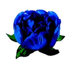 Forminha para Doces Finos - Bela Azul Royal - 30 unidades - Decora Doces - Magazine 25