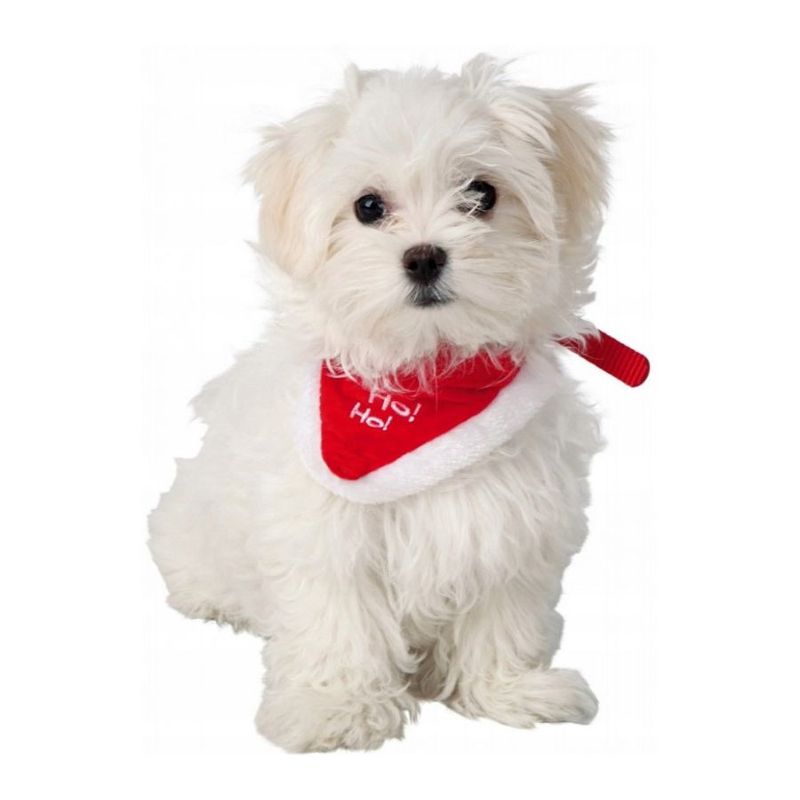 Coleira Pet - Bandana HoHoHo - 15cm - 1 unidade - Cromus - Rizzo