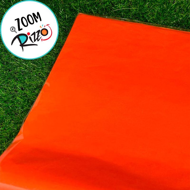 Papel de Seda - 50x70cm - Coral - 10 unidades - Magazine 25