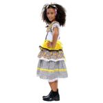 Fantasia Caipira Vestido Chiquinha Sortida com Tiara Infantil  Festa Junina
 Girassol G