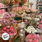 Forminha Para Doces Finos - Monaco - Lilás/Borda - 50 unidades - Decora Doces - Magazine 25