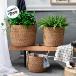 Cesta Decorativa Imares de Seagrass - 17x17x16cm - 1 unidade - Magazine 25