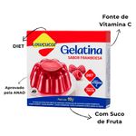 Gelatina Framboesa Diet 10g - Lowçúcar