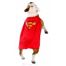 Capa Super Homem p/ Cachorro - Liga da Justiça