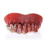 Dentes De Zumbi Com Sangue Halloween Abrakadabra Fantasias