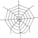Halloween Teia Especial Decorativa Preta 150cm - Popper