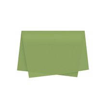 Papel de Seda - 50x70 - Verde Oliva Claro - 10 unidades - Magazine 25