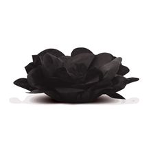 Forminha para Doce Roses sem Folhas Preto - 40 Un