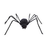 Aranha Gigante Peluda Golias 2,00 Metros - 1 Un