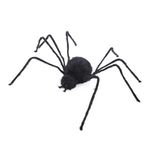 Aranha Gigante Peluda Golias 2,00 Metros - 1 Un