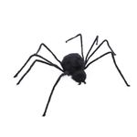 Aranha Gigante Peluda Golias 2,00 Metros - 1 Un