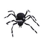 Aranha Gigante Peluda Australiana Patas Listras 2,60 Metros - 1 Un