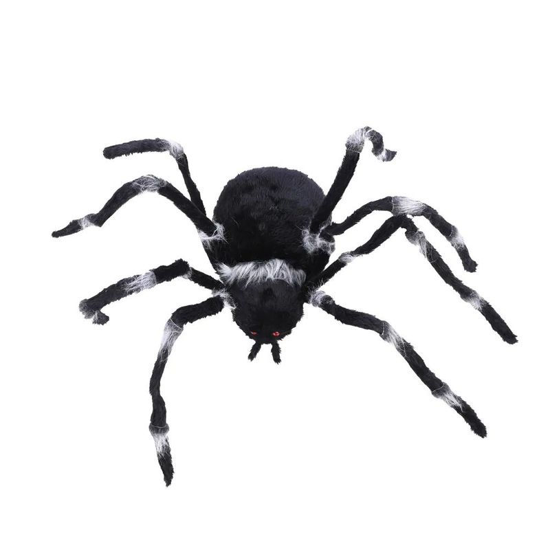 Aranha Gigante Peluda Australiana Patas Listras 2,60 Metros - 1 Un