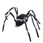 Aranha Gigante Peluda Australiana Patas Listras 2,60 Metros - 1 Un