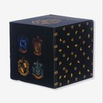 Porta Treco Cubo Harry Potter