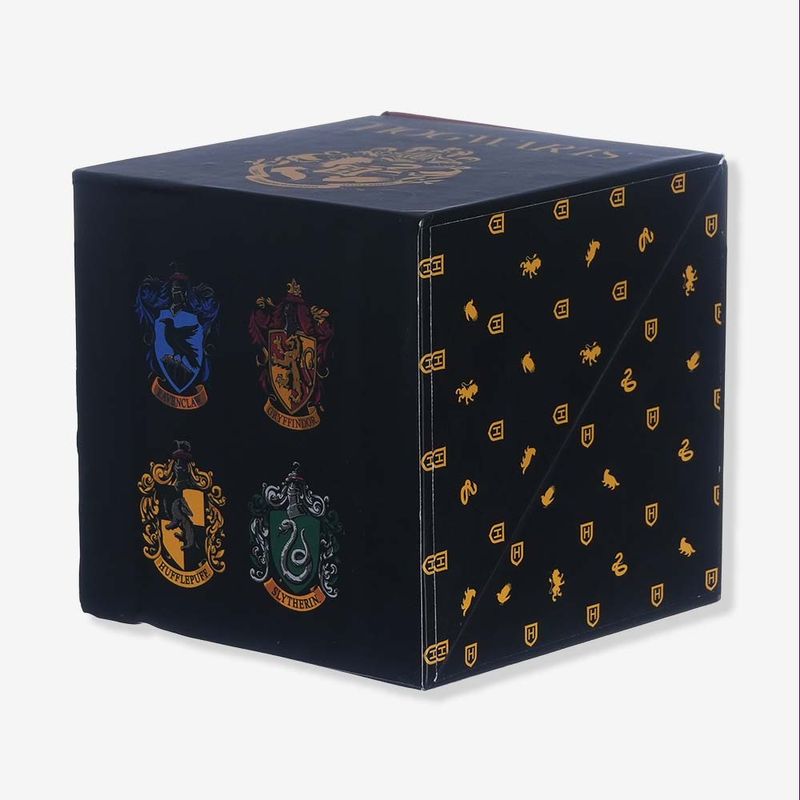 Porta Treco Cubo Harry Potter