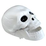 Mini Brinquedo de Hallowen - Caveira com Movimento - 3,5x5,5cm - 1 unidade - Magazine 25 - Magazine 25