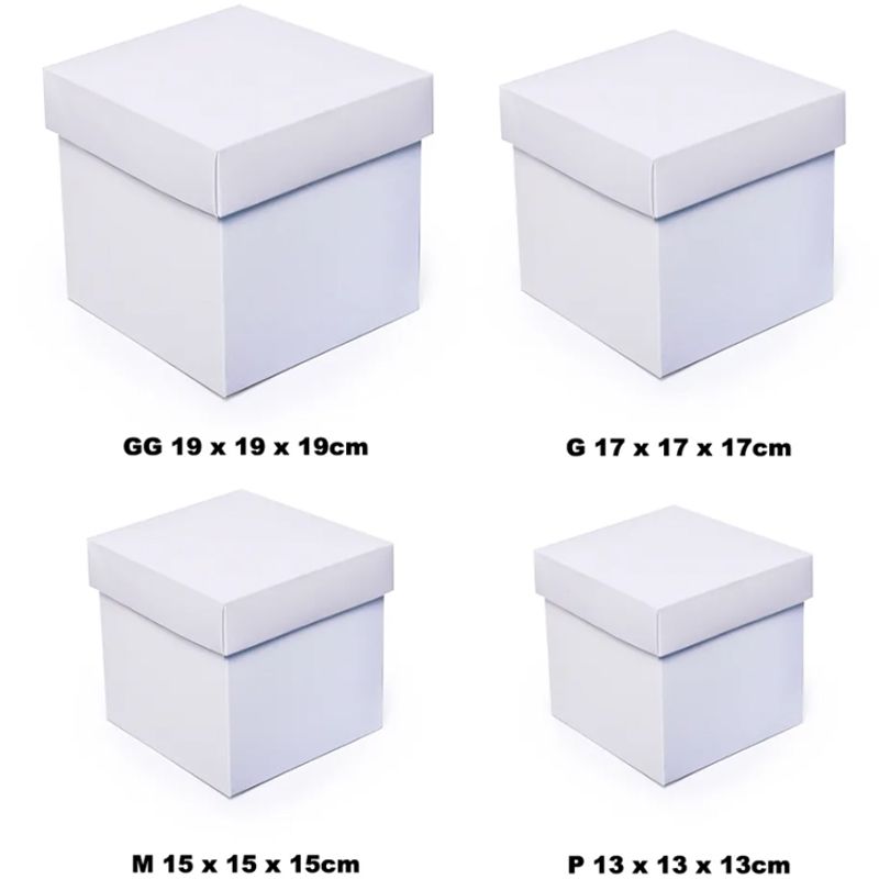 Caixa Cubo Liso Kraft GG 19cm - 10 Un