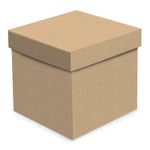 Caixa Cubo Liso Kraft GG 19cm - 10 Un
