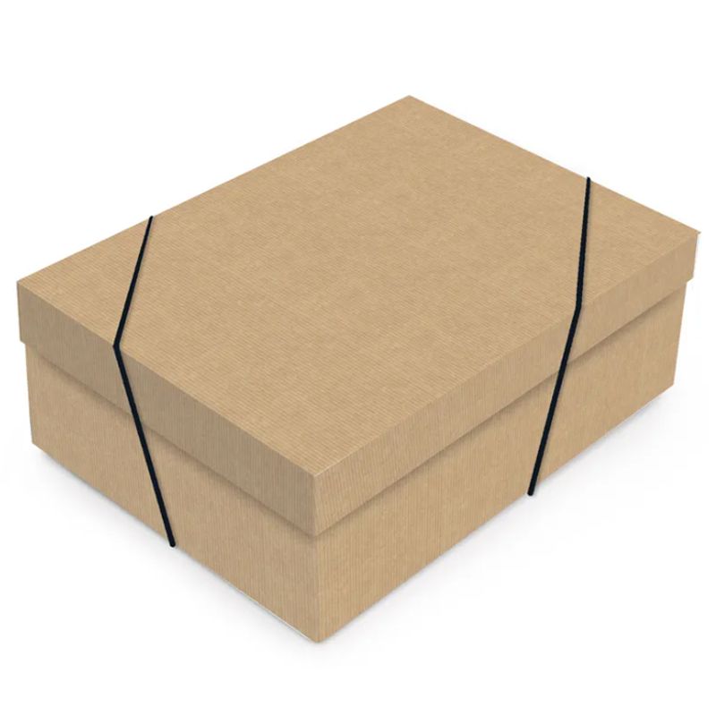 Caixa Retangular com Tampa Lisa Kraft M 35x25x11cm - 10 Un