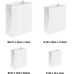 Saco de Papel Para Presente M 27x19,5x9,5cm Nicolau - 10 Un
