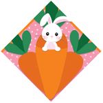 Express Para Ovo Estampado 39x39cm Carrot Rosa - 25 Un