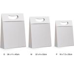 Caixa Plus Noel M 22x9x32cm Boas Festas - 10 Un