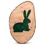 Quadro Decorativo MDF Coelho Easter Wishes 50x30cm - 1 Un