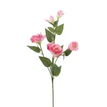 Flores Decorativas Permanentes - Rosas X5 68cm Rosa - 1 Haste