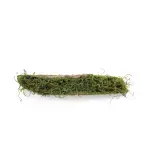 Tronco Decorativo Horizontal Musgo/Madeira P 9x46x12cm Verde/Marrom - 1 Un