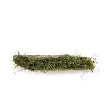 Tronco Decorativo Horizontal Musgo/Madeira P 9x46x12cm Verde/Marrom - 1 Un