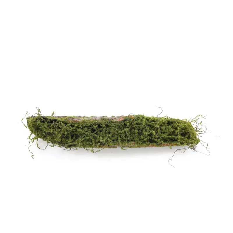 Tronco Decorativo Horizontal Musgo/Madeira P 9x46x12cm Verde/Marrom - 1 Un