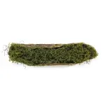 Tronco Decorativo Horizontal Musgo/Madeira M 15x70x14cm Verde/Marrom - 1 Un