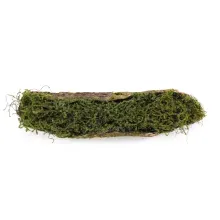Tronco Decorativo Horizontal Musgo/Madeira M 15x70x14cm Verde/Marrom - 1 Un